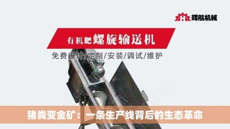 猪粪变金矿：一条生产线背后的生态革命