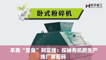  羊粪“变身”财富线：探秘有机肥生产线厂家密码