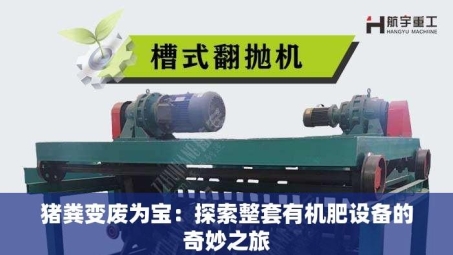 猪粪变废为宝：探索整套有机肥设备的奇妙之旅