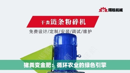 猪粪变金肥：循环农业的绿色引擎