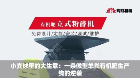 小粪球里的大生意：一条微型羊粪有机肥生产线的逆袭